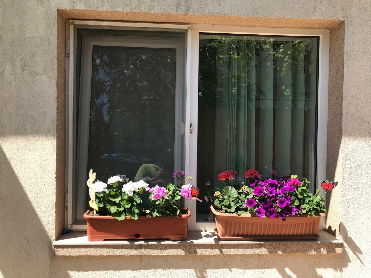Black Sea House Apartment Constanta Bagian luar foto